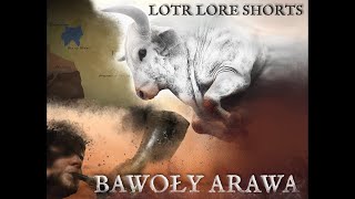 Lotr Lore Shorts #1 - Bawoły Arawa