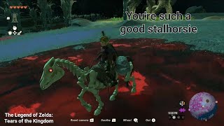 A Stalhorse Will Protect You From Gloom | Tears of the Kingdom