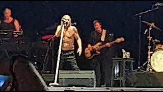 Iggy Pop I wanna be your dog Latitudes Vigo 20 agosto 2022