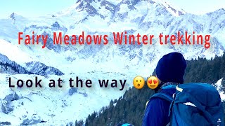 Fairy Meadows Nanga Parbat winter trekking in snow - 3300 m