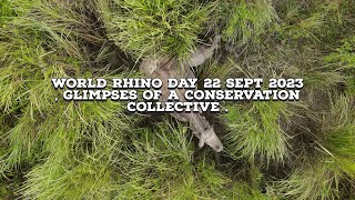 World Rhino Day 22 sept 2023 , glimpses of a conservation collective