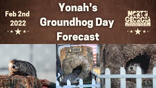 Ground Day 2022- Yonah the Groundhog's forecast!