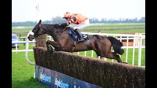 Jett - 2019 Fairyhouse G2 Devenish Chase (Build Up, Race & Reaction)