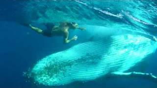 Ballet entre un homme et une baleine