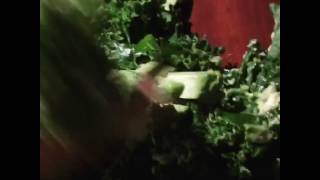 Salad of the Day: Massaging the kale in Bohemian Gardens