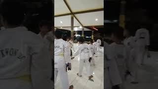 Latihan Reguler ll Berlatih Taekwondo untuk Kelas Pemula!!