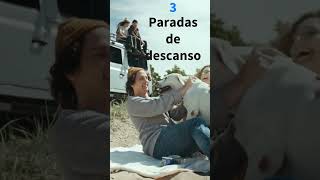 6 DICAS PET DE COMO LEVAR O PET À PRAIA.