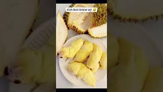 yellow merona durian