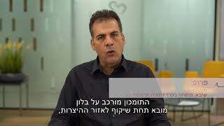 פרופ' עמית שגב, מהו סטנט (תומכון)?