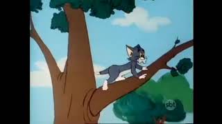 Tom e Jerry Ama Seca de Cachorro 1980