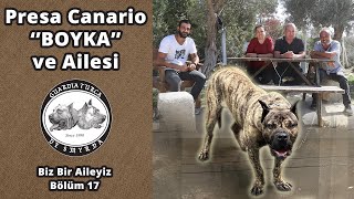 Presa Canario Boyka ve Ailesi - Biz Bir Aileyiz Bölüm 17