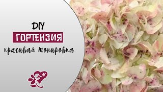 Гортензия. Реалистичная тонировка. Hydrangea, pastel toning. DIY