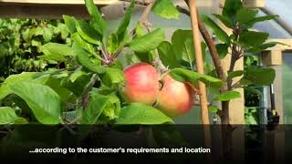 Polycrub:  The hurricane proof polytunnel!