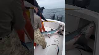 Thresher shark fishing off NJ coast #fishing #sharkfishing #shark #fish #fishingvideo #sharks #mahi