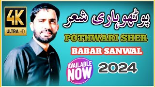 Pothwari Sher Babar Sanwal || Babar Sanwal Pothwari Sher || Beautiful Voice || 2024