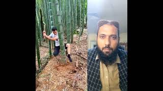 Japan People Skills || Skills || Japan Amazing Skills #afghanproudtvchannel