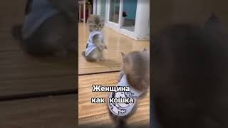 Удивительные животные !!!!