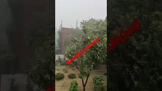 Rain@Lucknow....#india #viral #video #travel #tour #viralshorts #rain #rainyday #sawan #trending