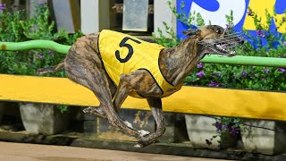 2024 Sportsbet Melbourne Cup Heat 6 | Miss Envy