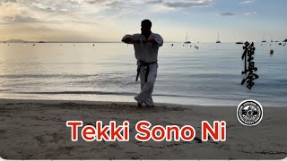 KYOKUSHIN KARATE TEKKI SONO NI