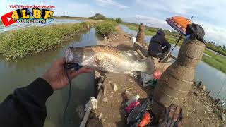 Spot Mancing Kakap di Keramat Tangerang | Bonus Udang Tiger