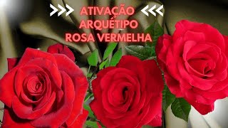 [ROSA VERMELHA] - Ativação do arquétipo   - Relacionamento duradouro, paixão, romance e sedução