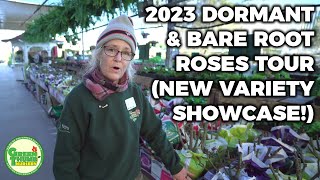 New 2023 Bare Root Roses And My Favorite Varieties - Green Thumb Nursery Tour