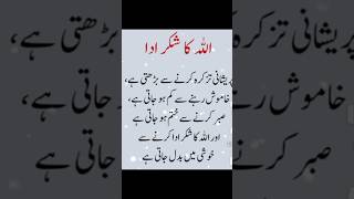 Allah Ka Shukar Ada| #islamicquotes#youtubeshorts