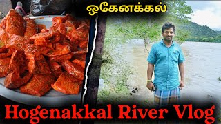 Hogenakkal Flood Alert: Cauvery River Overflows | Current Situation Vlog