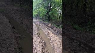 THIS MESS is a LANDOWNERS WORST NIGHTMARE after LOGGING... BUT THIS is DIFFERENT! #forest #logging