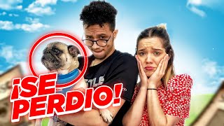 SE PERDIÓ MI PERRO 😭( BROMA PESADA de FernanRD ) - Isa