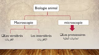 biologie animale s2 introduction générale