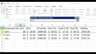 Microsoft Excel 2013/2016 pt 4 (Page Setup, Header/Footer, Repeat Row)