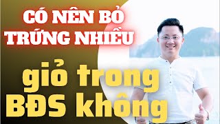 Có Nên Bỏ Trứng Nhiều Giỏ Trong BĐS Không