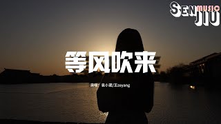 袁小葳/王zeyang - 等风吹来『等风吹来 携着我的爱，隔着山海想 与你撞怀。』【動態歌詞Lyrics】2023 熱門歌曲 | 2023 新歌推送 | 抖音十大熱門歌曲 | 最火最熱門洗腦抖音歌曲