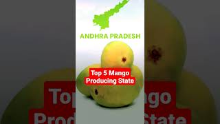 Top 5 Mango producing state |भारत में शीर्ष 10 आम उत्पादक राज्य | Mango varieties in India #mango