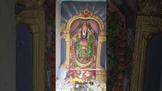 Venkateswara Swamy#god #shorts