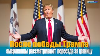 После победы Трампа многие  американцы рассматривают возможность переезда за границу