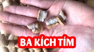 Tác Dụng Của Ba Kích Tím và Mua Ba Kích Tím Rừng Ở Đâu Tốt