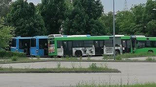 8 db busz a kertvárosi végállomáson