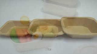 Bagasse food container,bagasse bowl,compostable food container,China Maker,High Grade