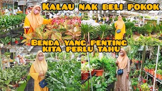 kalau beli pokok benda yang penting kita kena buat