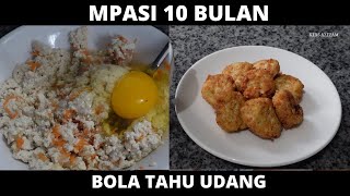 MPASI 10 BULAN