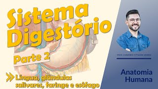 Sistema Digestório - Aula 02 - Anatomia da língua, das glândulas salivares, da faringe e do esôfago