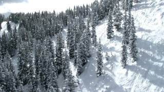 Winter snowy forest HD