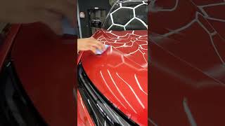 TATA HARRIER PROCESS TO 10h Ceramic Coating ✅#detailingstudio #ppf #ytshorts