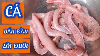 Ăn loài cá sống sâu nhất đại dương thật bất ngờ - “Cá dấu đầu lòi đuôi” ngon nhất trần gian