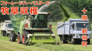 フォーレージハーベスターによる牧草収穫（十勝・新得町）