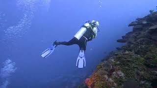 Scuba Diving "Hole in the Wall" in Roatán, Honduras - November 2022