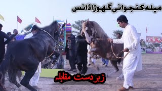 Horse dance||horse dance maila kunjwani||Amazing Horse Dance with Dhool in Pakistan|میلہ گھوڑا ناچ